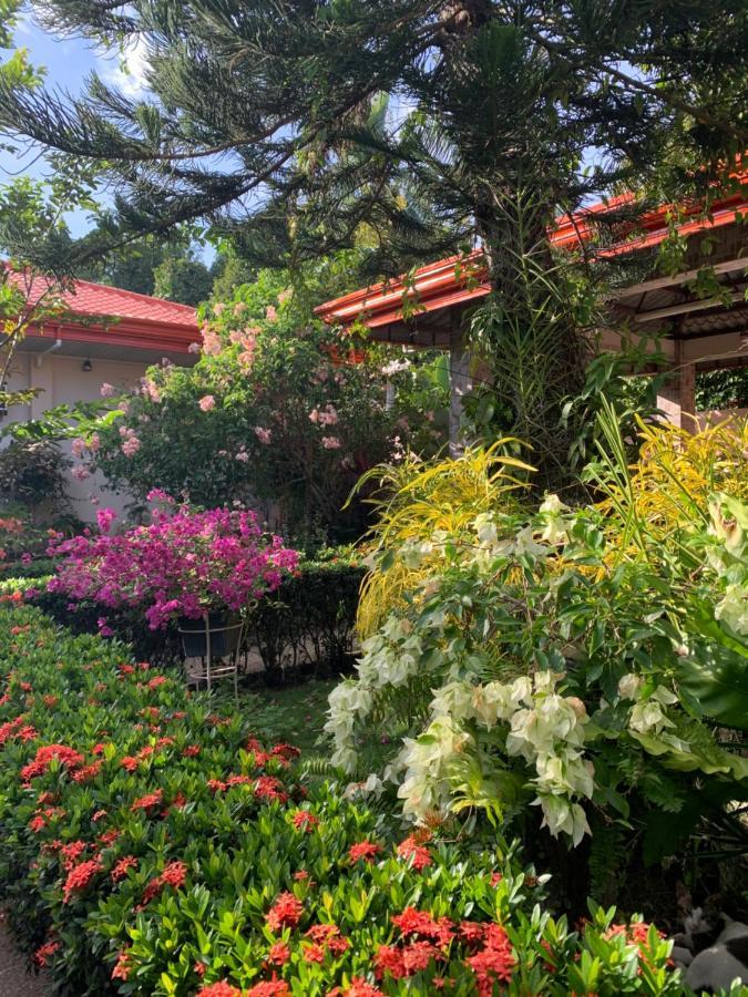 100m2, 2 yatak odalı, 1 banyolu Bungalov, Galas bölgesinde Dipolog Dış mekan fotoğraf